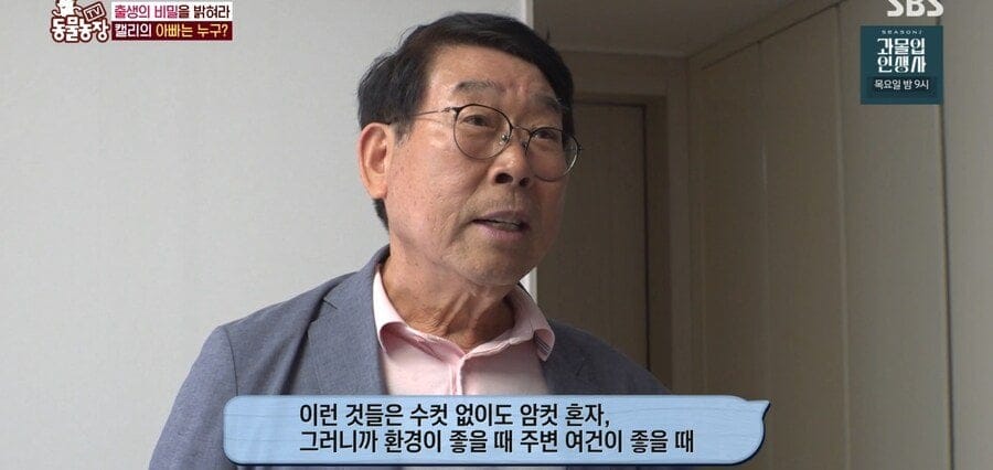 처녀수태로 태어난 예수앵무