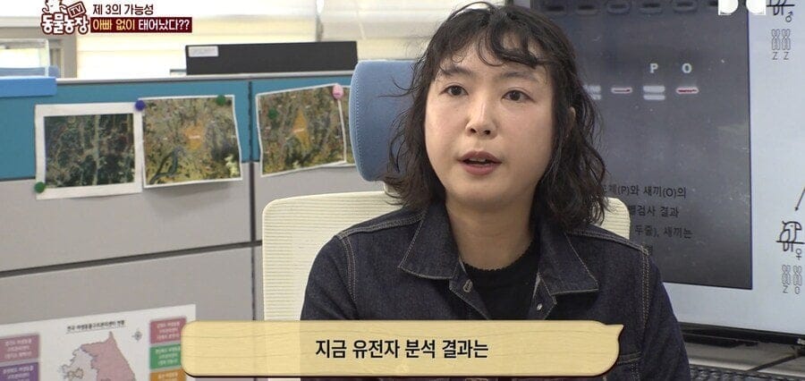 처녀수태로 태어난 예수앵무