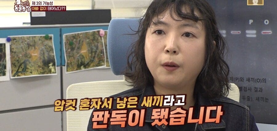 처녀수태로 태어난 예수앵무