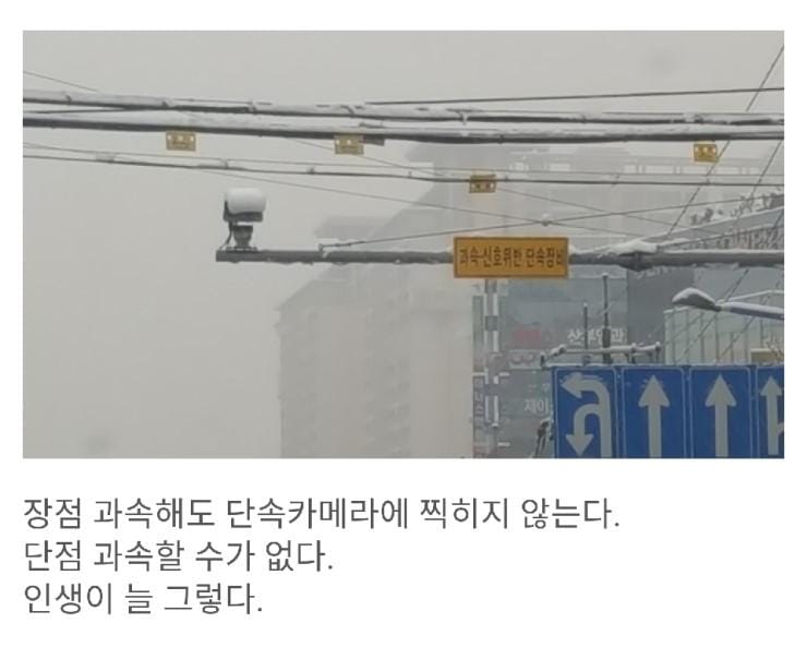 눈 올 때 장단점