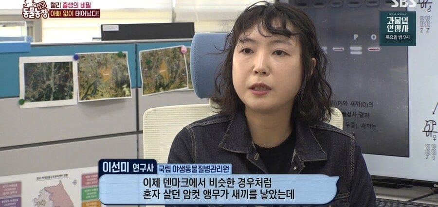 처녀수태로 태어난 예수앵무