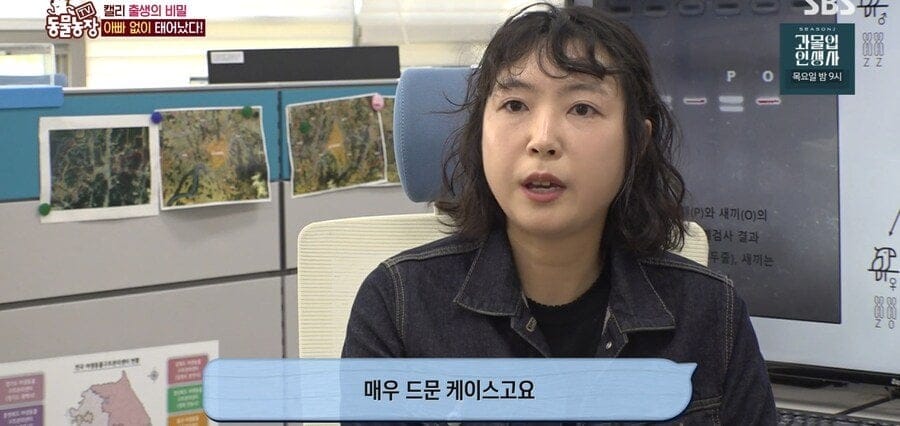 처녀수태로 태어난 예수앵무