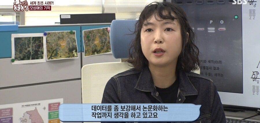 처녀수태로 태어난 예수앵무