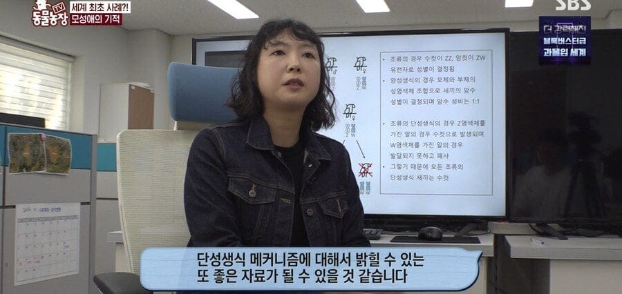 처녀수태로 태어난 예수앵무