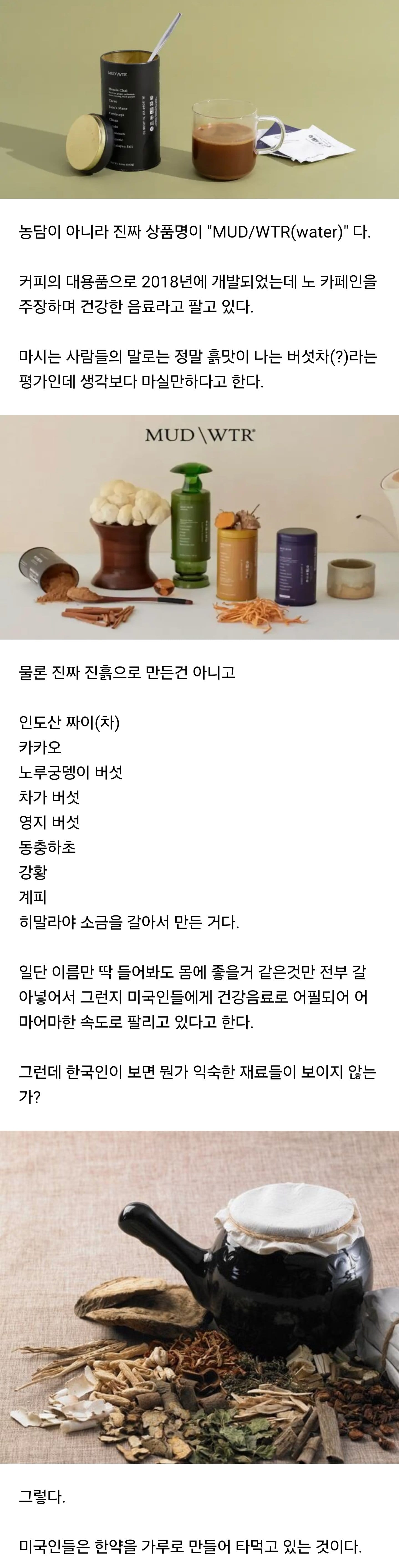 현재 미국에서 대유행중인 진흙물