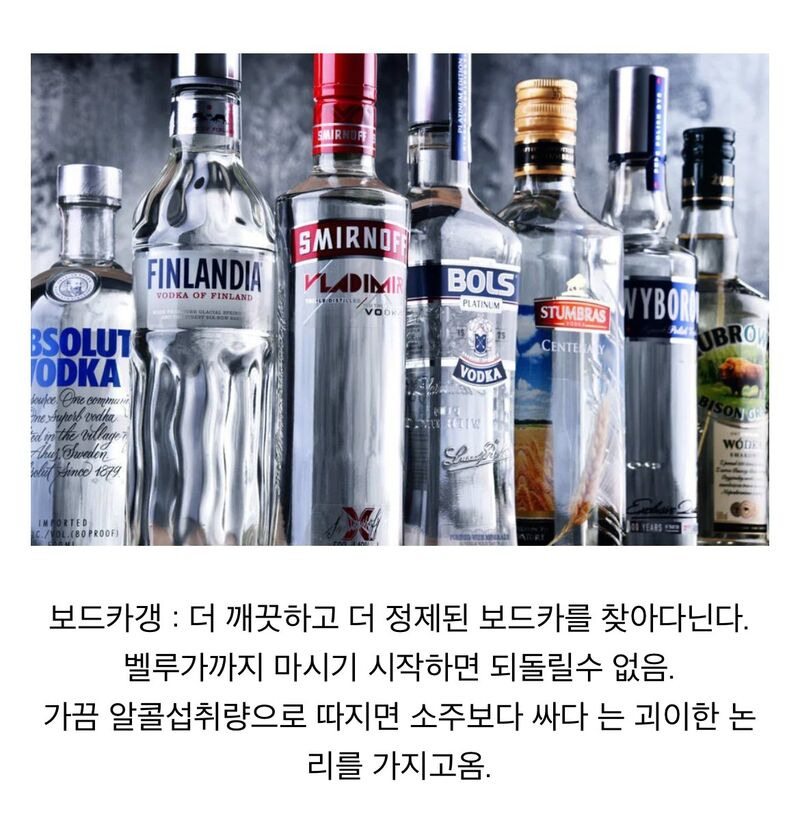 술꾼들 사이에서 나누어져 있는 주종별 파벌소개.jpg