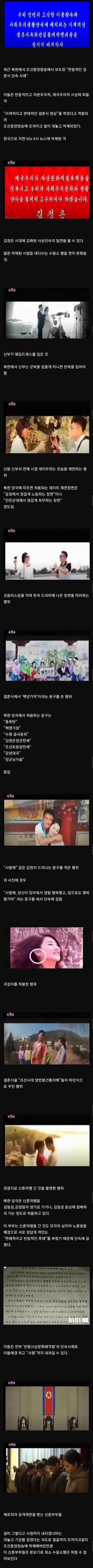 북한 한류 탄압 근황