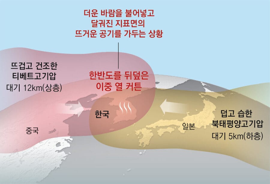 앞으로 몇주간 죽었다 라고 생각해야 되는 이유