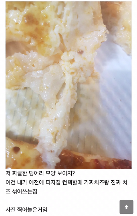 				이글 보고 진짜치즈 쓰는 피자집 찾아내는 달글