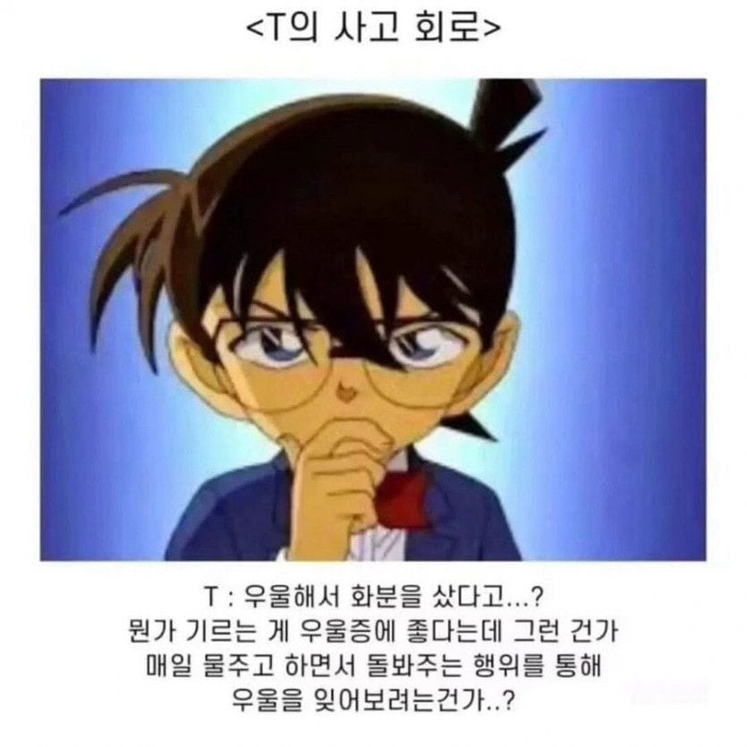 F는 이해 못하는 T의 사고