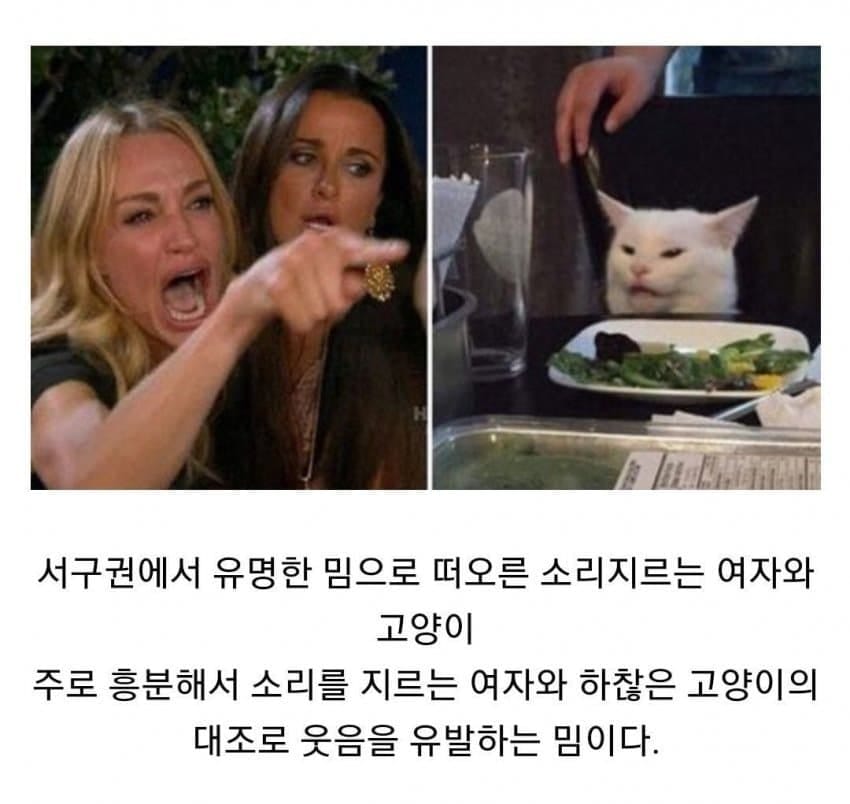 밈으로만 보던 여자의 진실.jpg