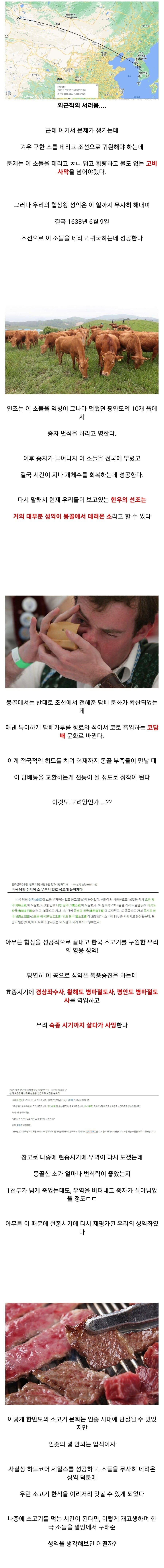 인조가 그래도 잘한 일 중 하나