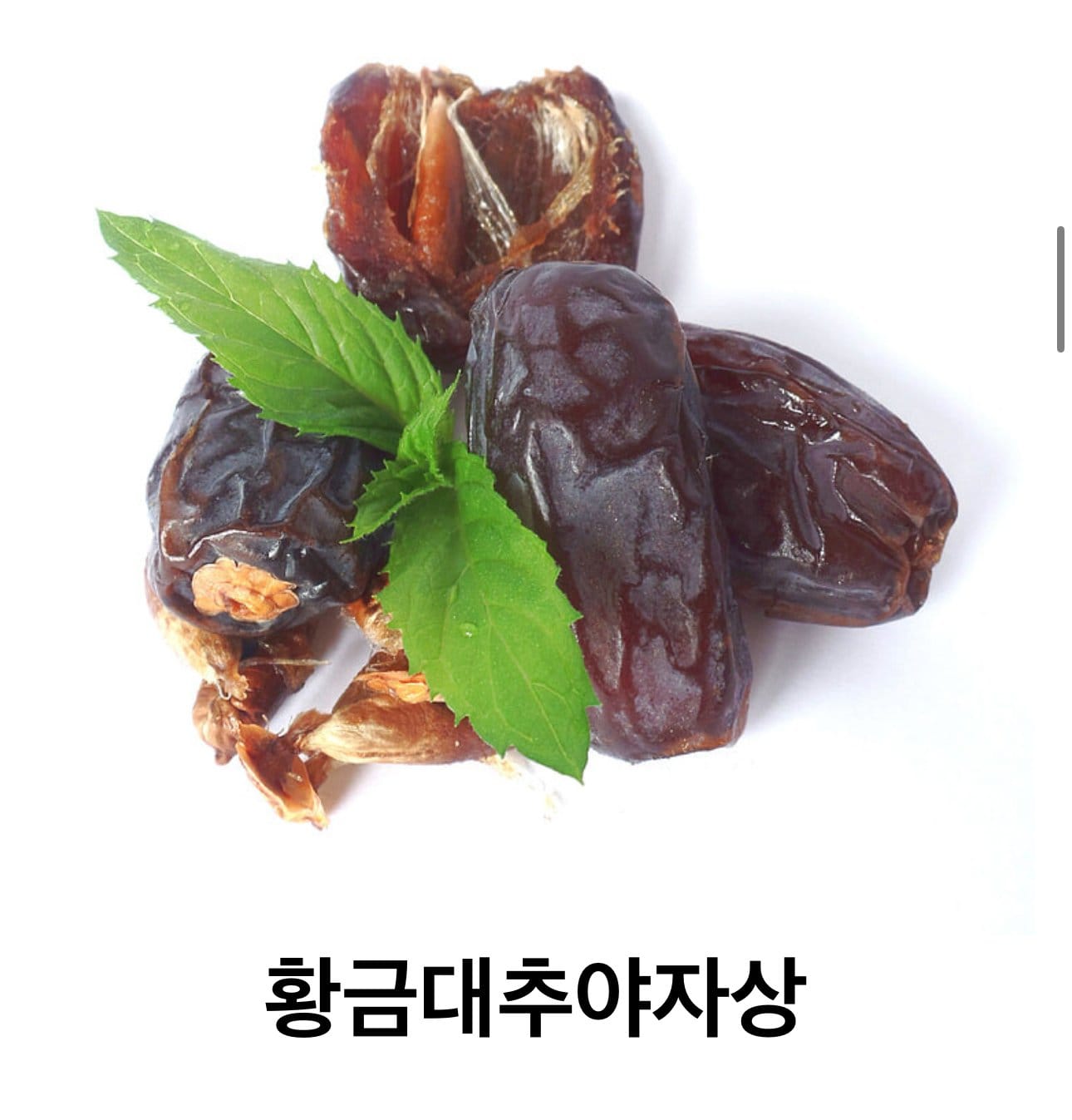 사실 오역인데 안 고치는 번역.jpg