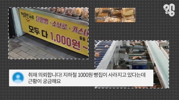 스압) 1000원 빵🍞집이 계속 사라지는 이유