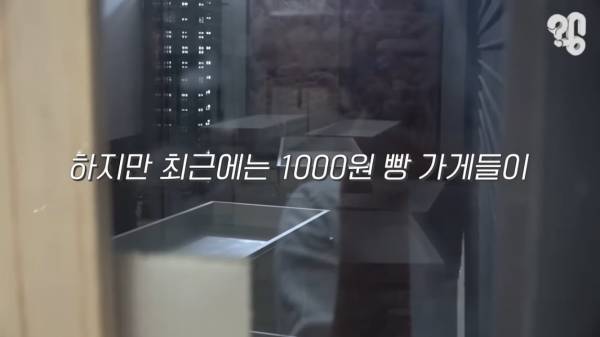 스압) 1000원 빵🍞집이 계속 사라지는 이유