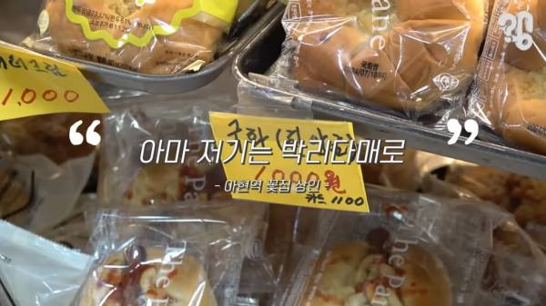 스압) 1000원 빵🍞집이 계속 사라지는 이유