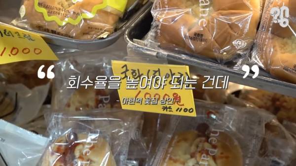 스압) 1000원 빵🍞집이 계속 사라지는 이유