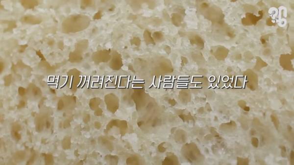 스압) 1000원 빵🍞집이 계속 사라지는 이유