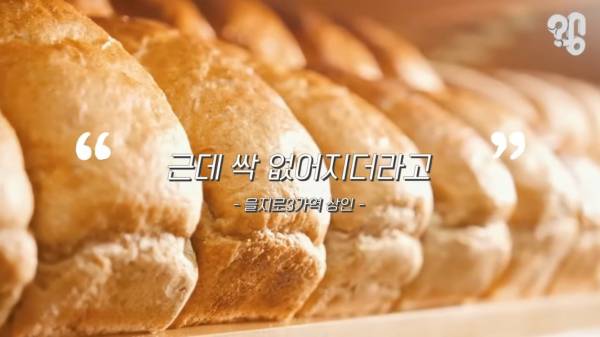 스압) 1000원 빵🍞집이 계속 사라지는 이유