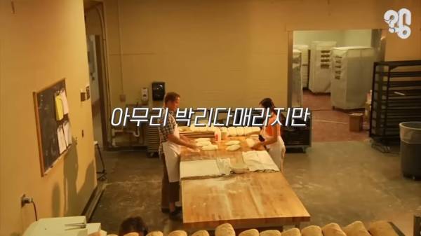 스압) 1000원 빵🍞집이 계속 사라지는 이유