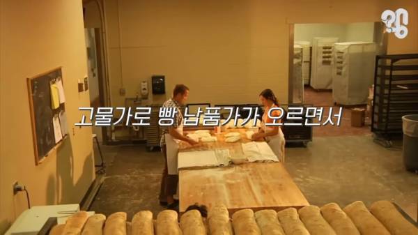 스압) 1000원 빵🍞집이 계속 사라지는 이유