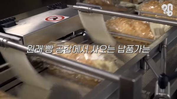 스압) 1000원 빵🍞집이 계속 사라지는 이유