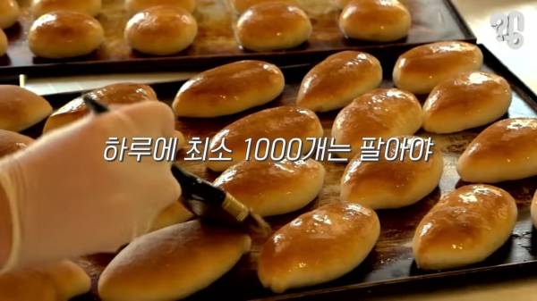 스압) 1000원 빵🍞집이 계속 사라지는 이유