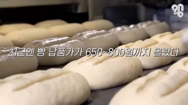 스압) 1000원 빵🍞집이 계속 사라지는 이유