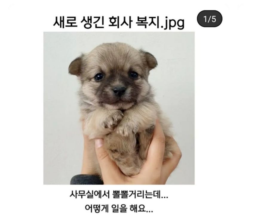 새로생긴 회사복지