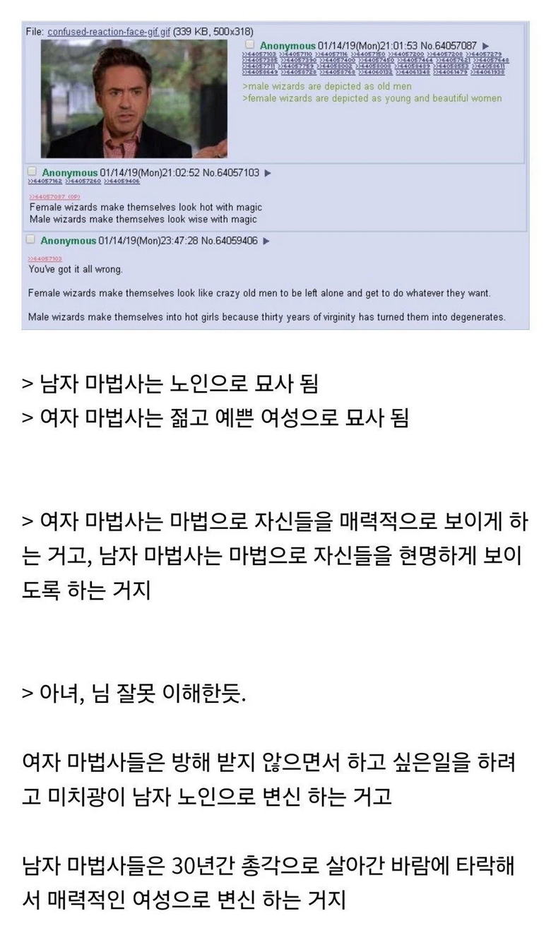 왜 남자 마법사는 늙은이고 여자 마법사는 젊은이임?.jpg