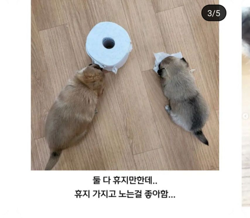 새로생긴 회사복지