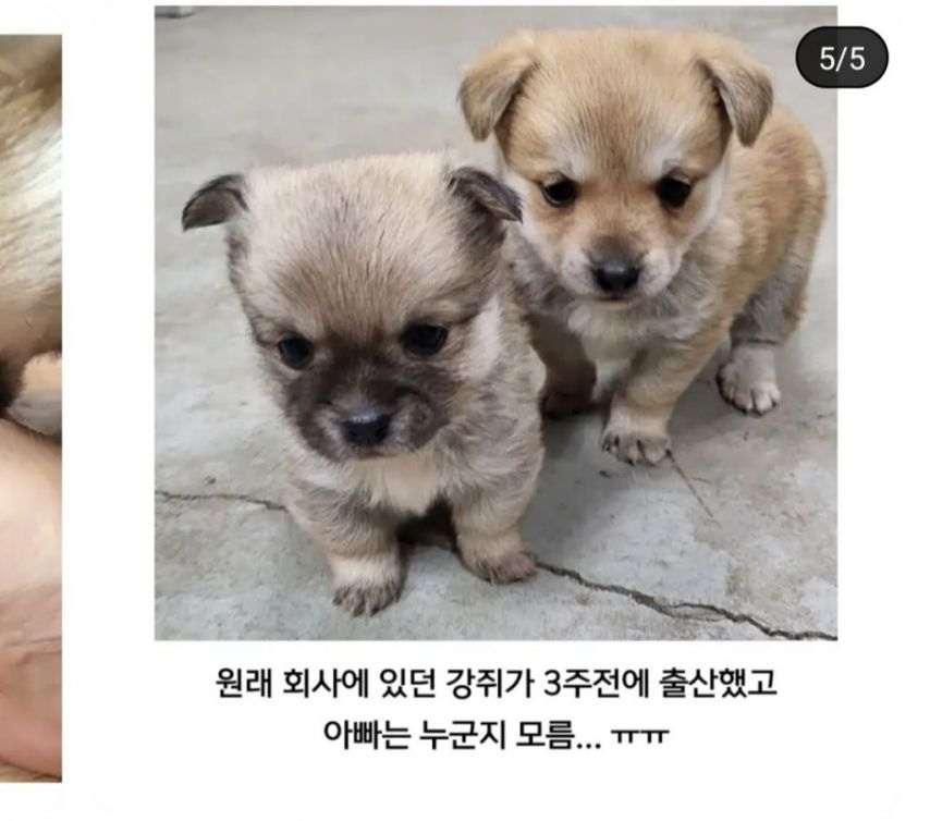 새로생긴 회사복지