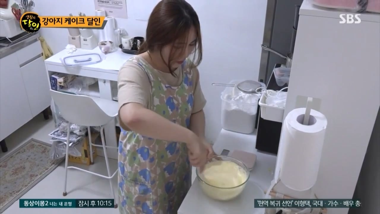 강아지 케이크의 달인