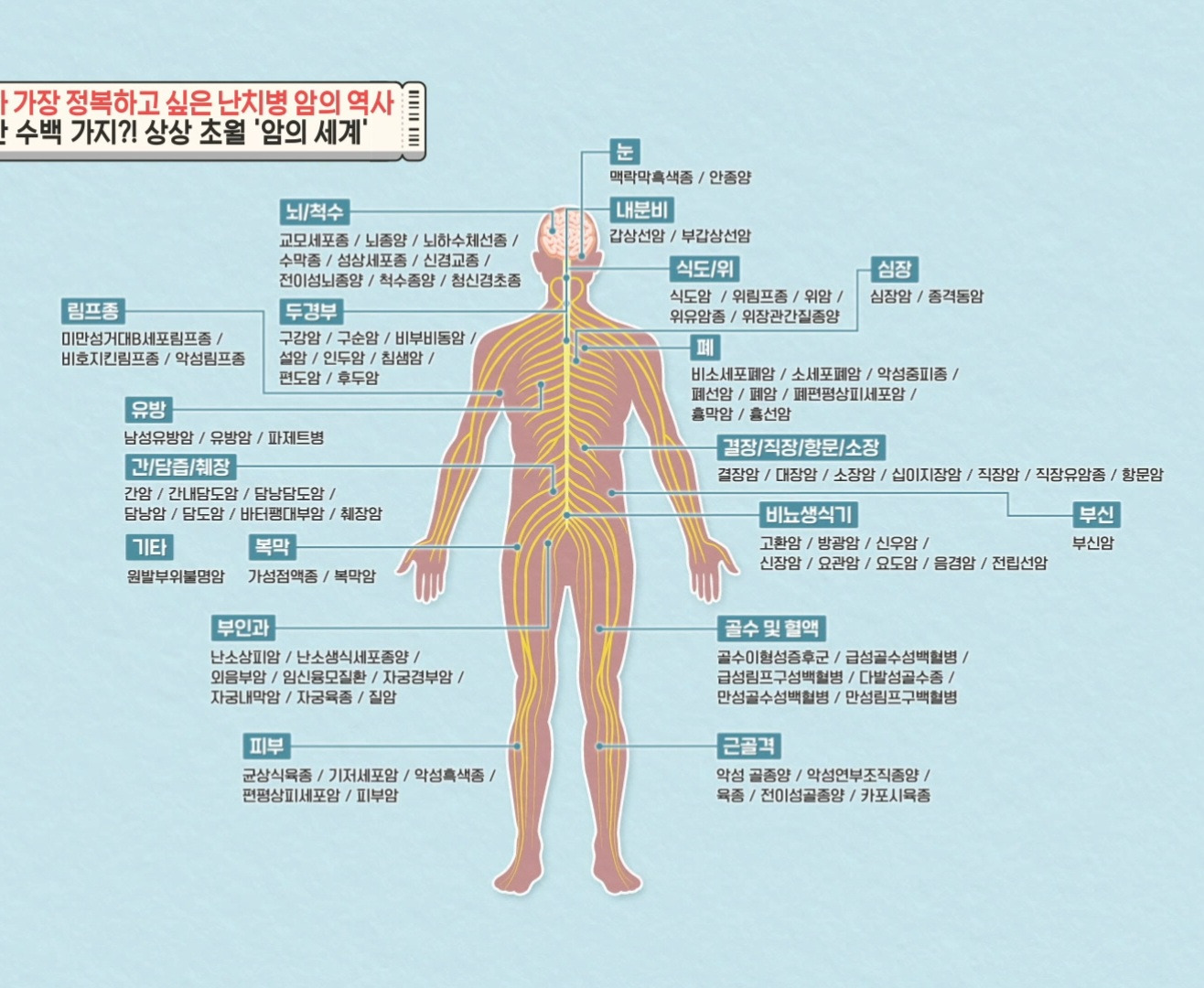 				우리 몸에서 암이 발생하지 않는 곳