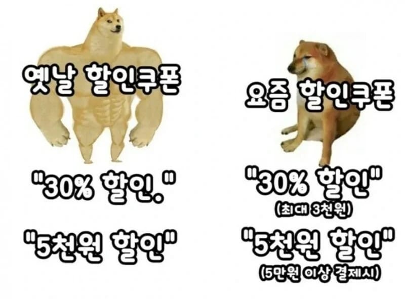 요즘 할인쿠폰 특징