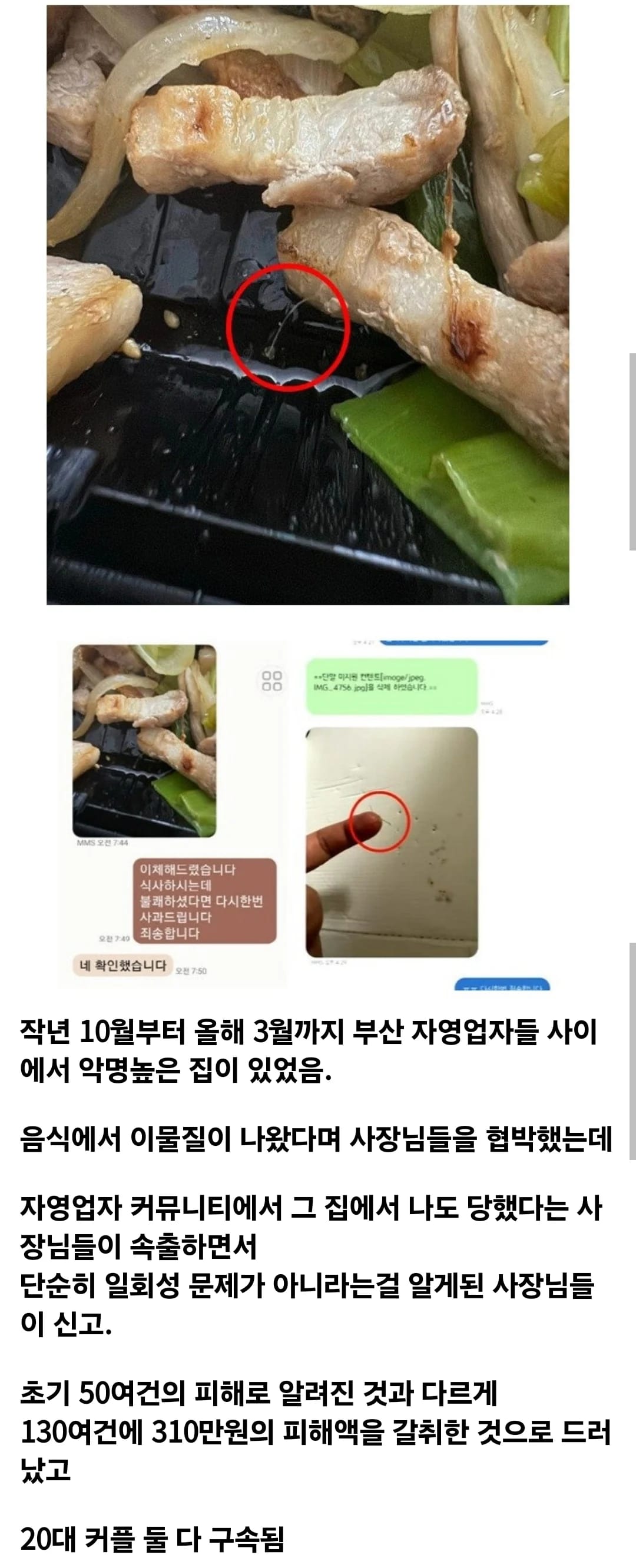 부산을 공포에 떨게 했던 바퀴벌레 한쌍.jpg