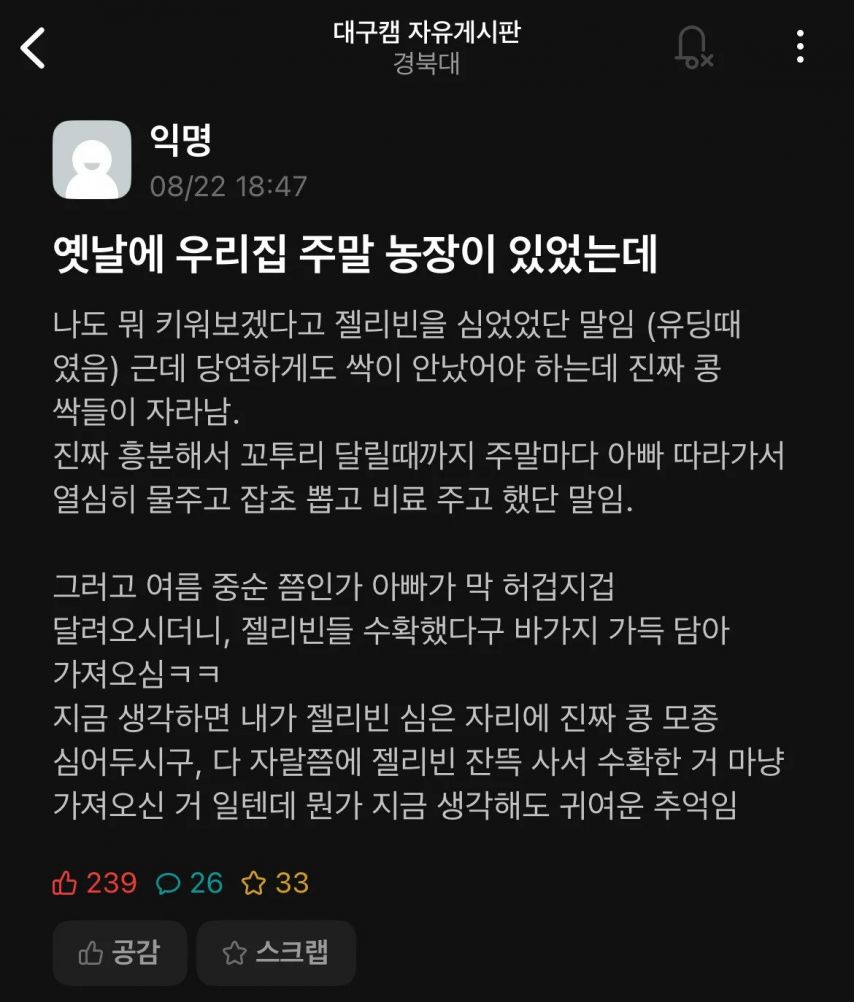 실시간 반응 뜨거운 경북대 에타글