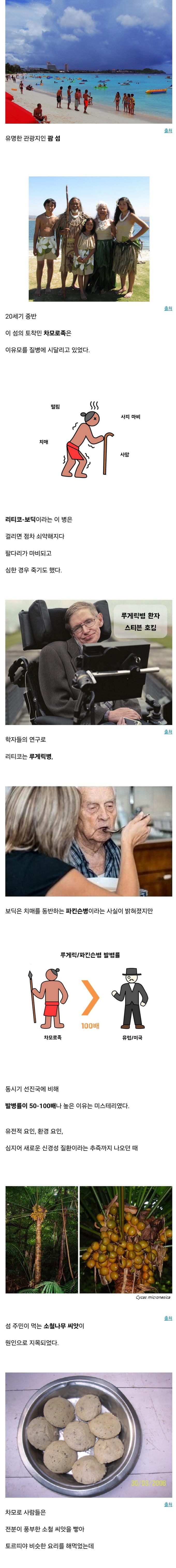 태평양 한 섬의 비극.jpg