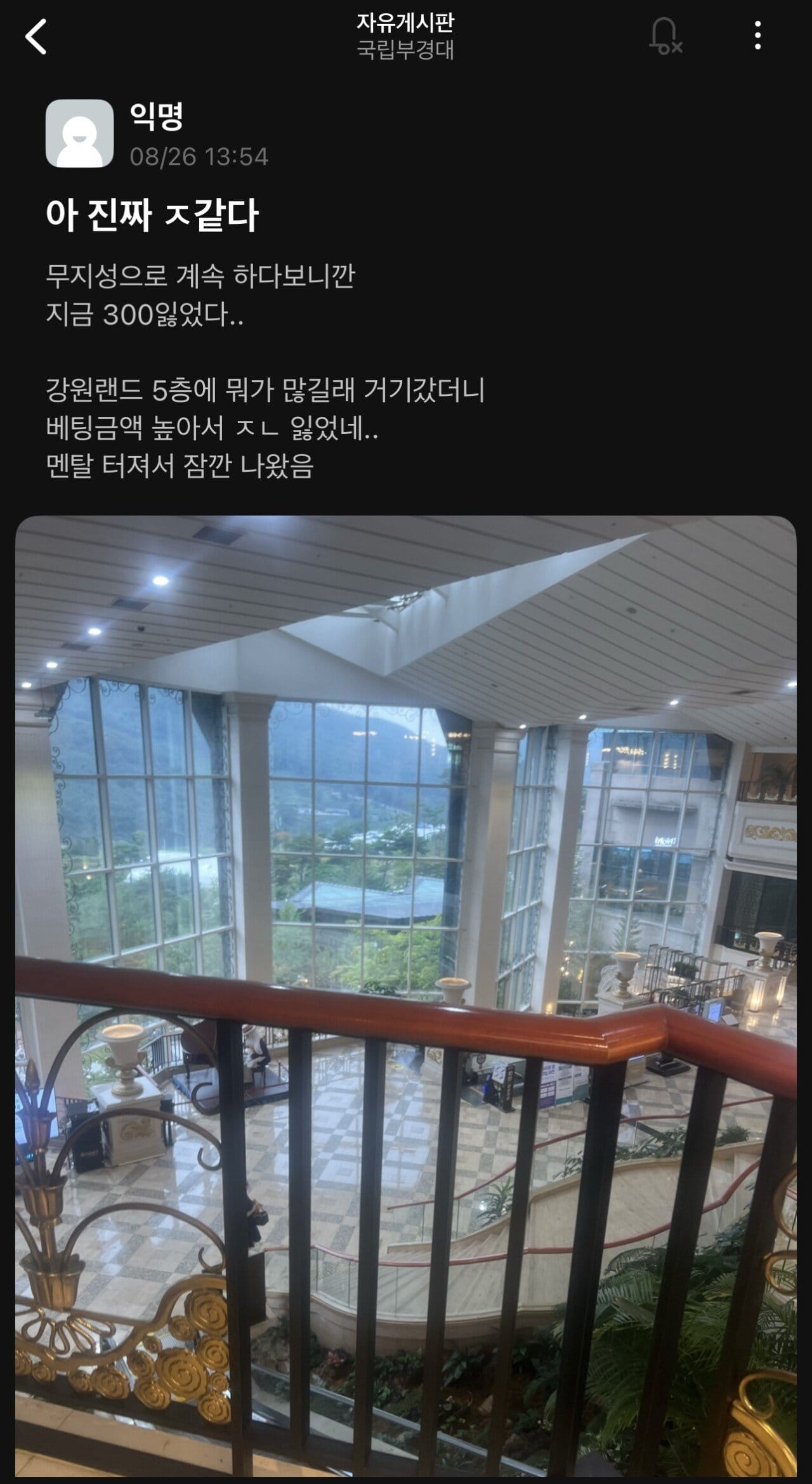 강원랜드간 대학생 결말