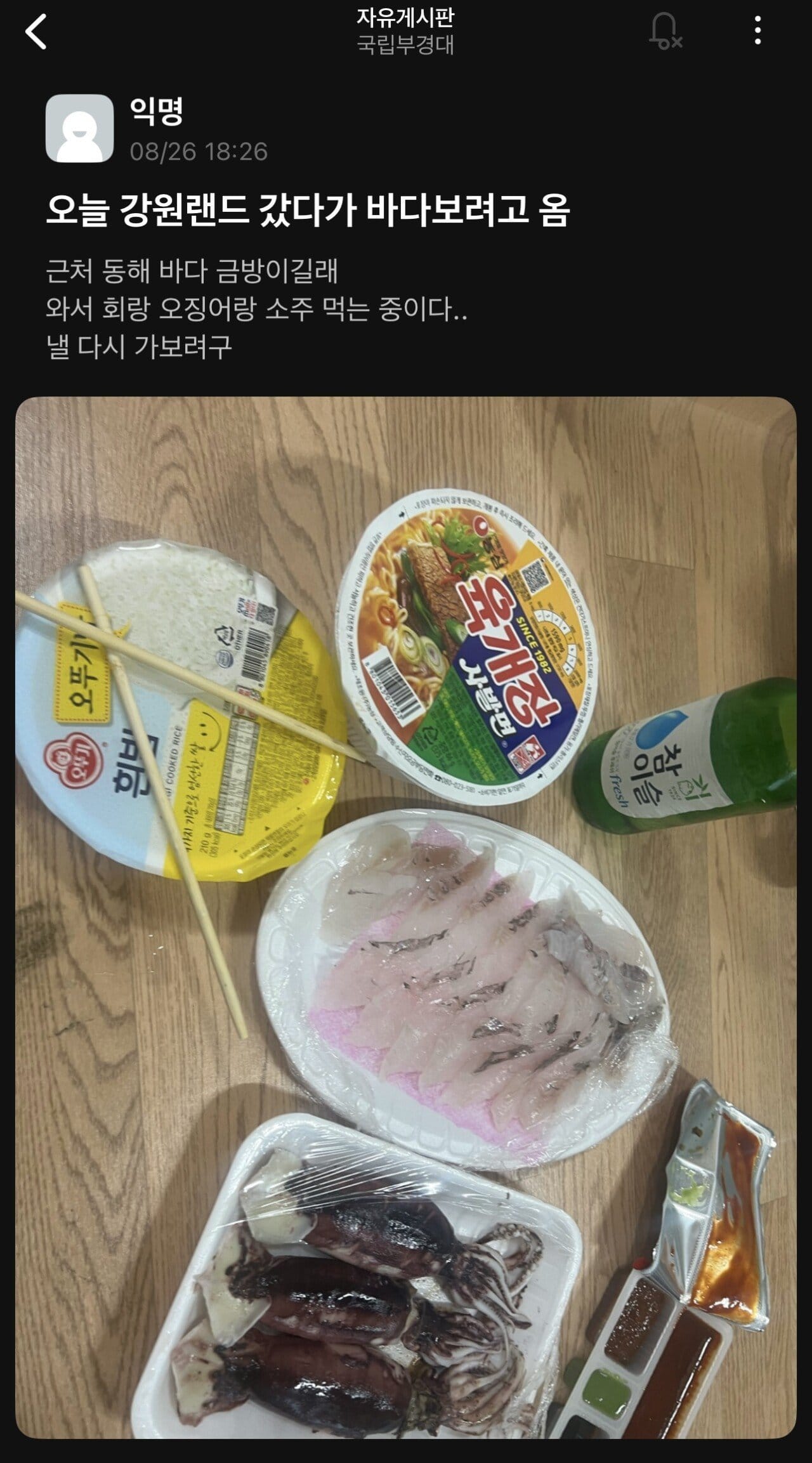 강원랜드간 대학생 결말