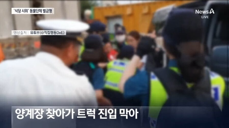 과격하게 동물권 주장하던 시위 단체 근황