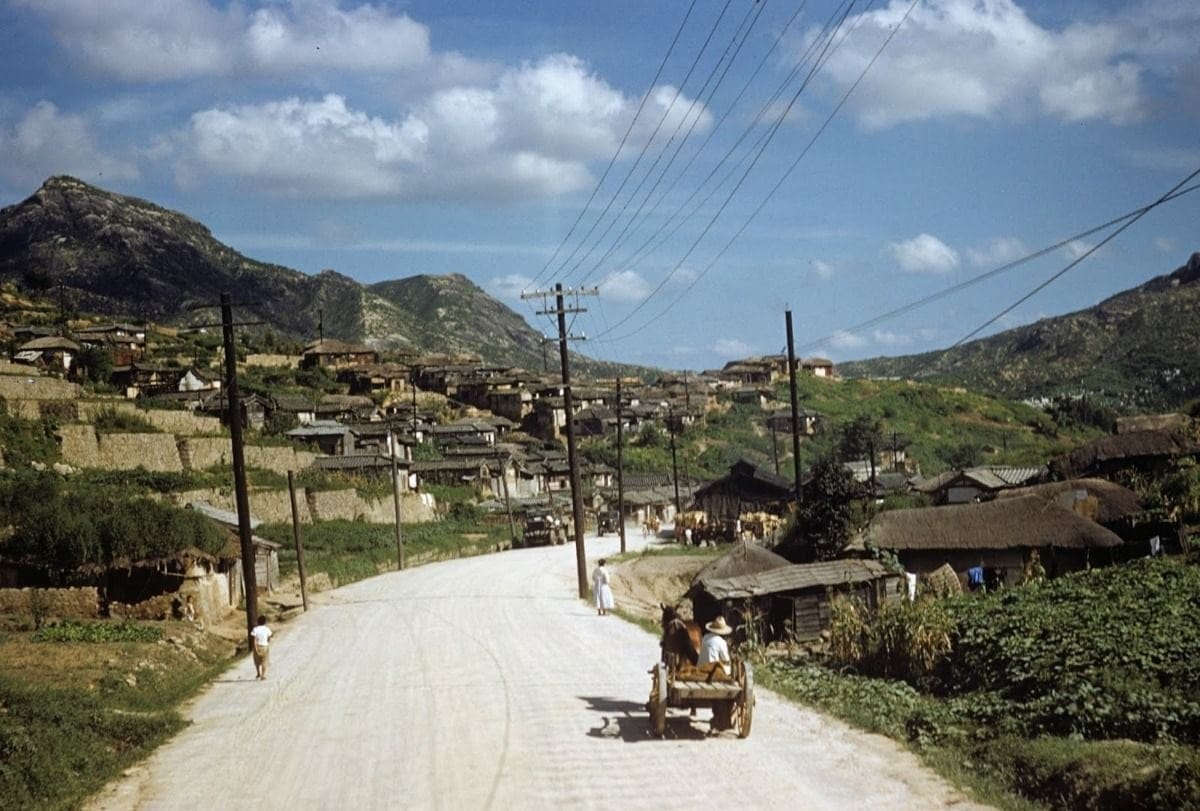 1951년 도시풍경.jpg