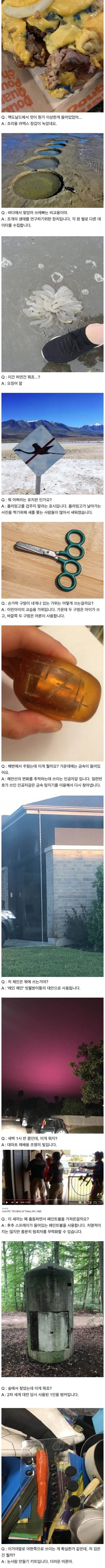 서양의 신기한 지식인 문답