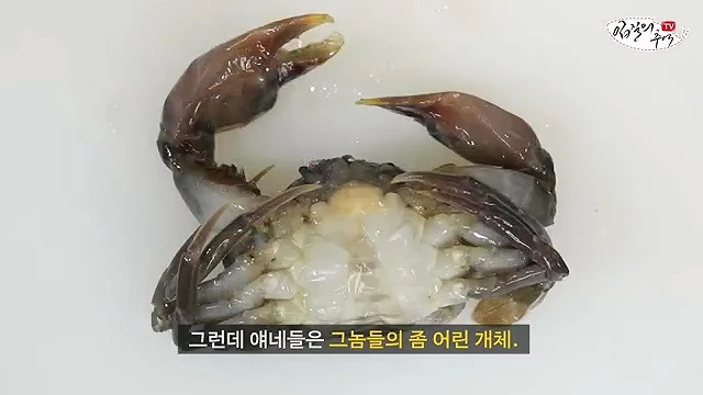 세상에서 제일 부드러운 게 소프트쉘 크랩.jpg