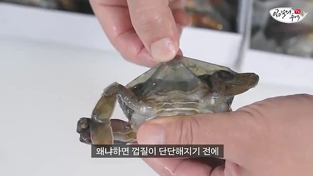 세상에서 제일 부드러운 게 소프트쉘 크랩.jpg