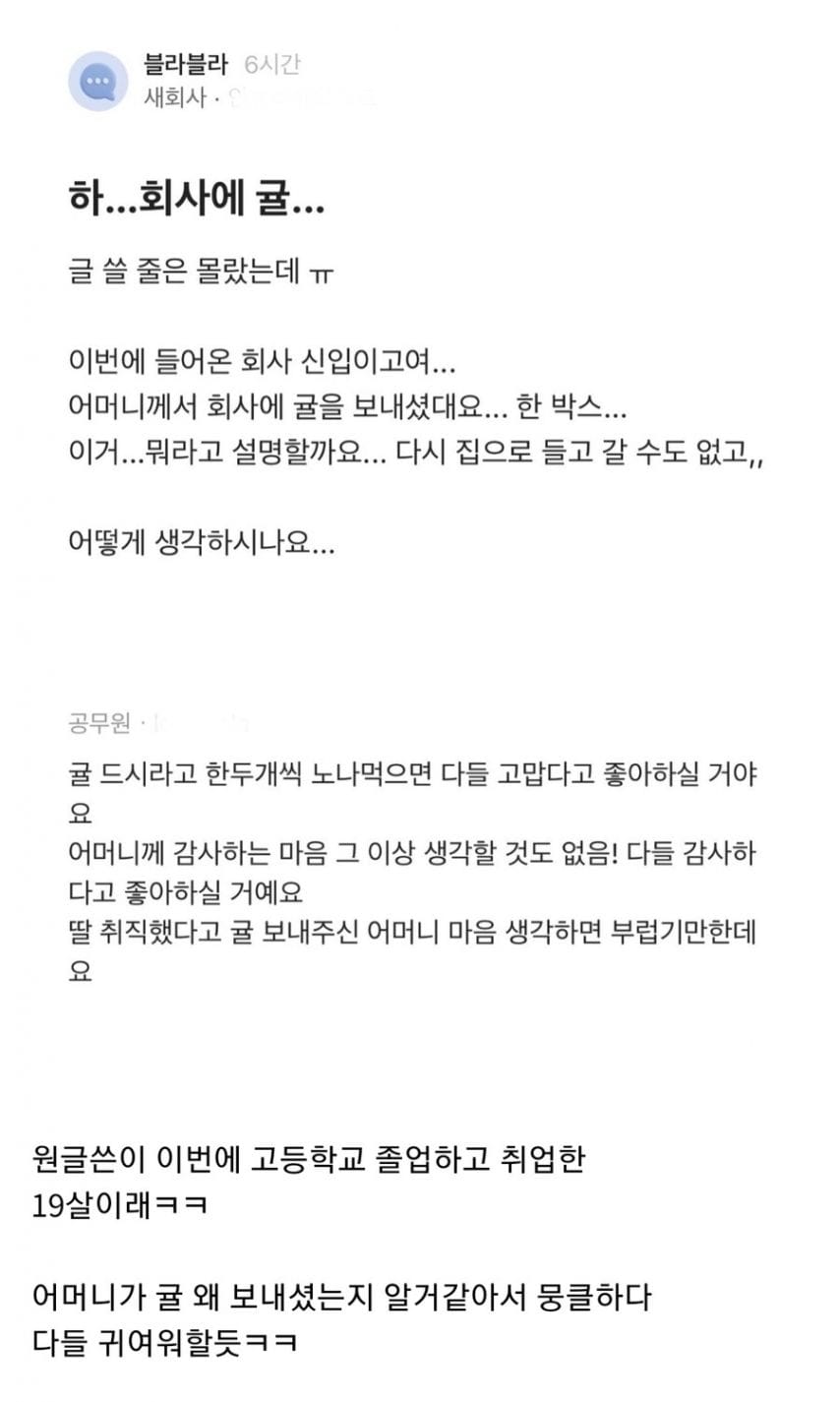 신입인데 어머니가 회사로 귤 보냈어요...