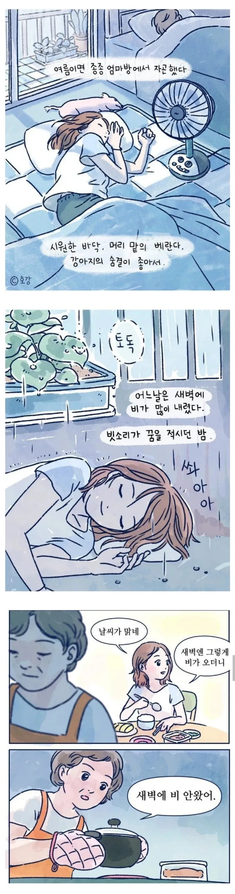 여름이면 종종 엄마방에서 자곤 했다.toon