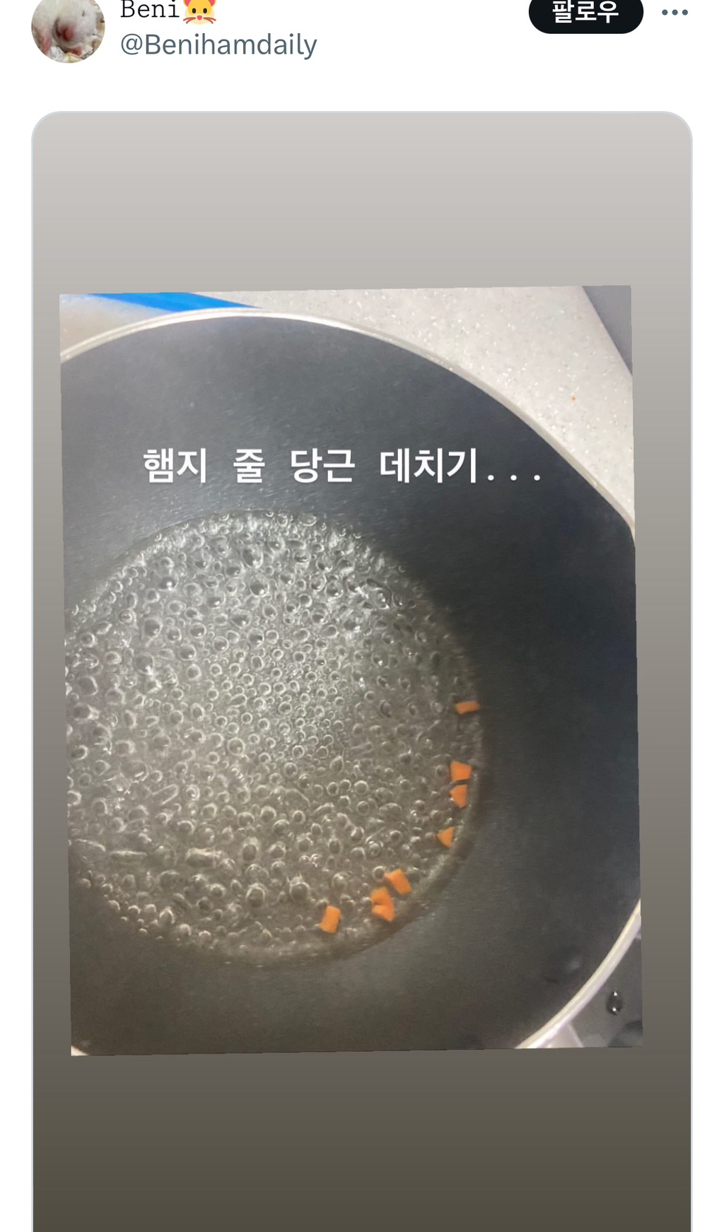 햄지 줄 당근 데치기