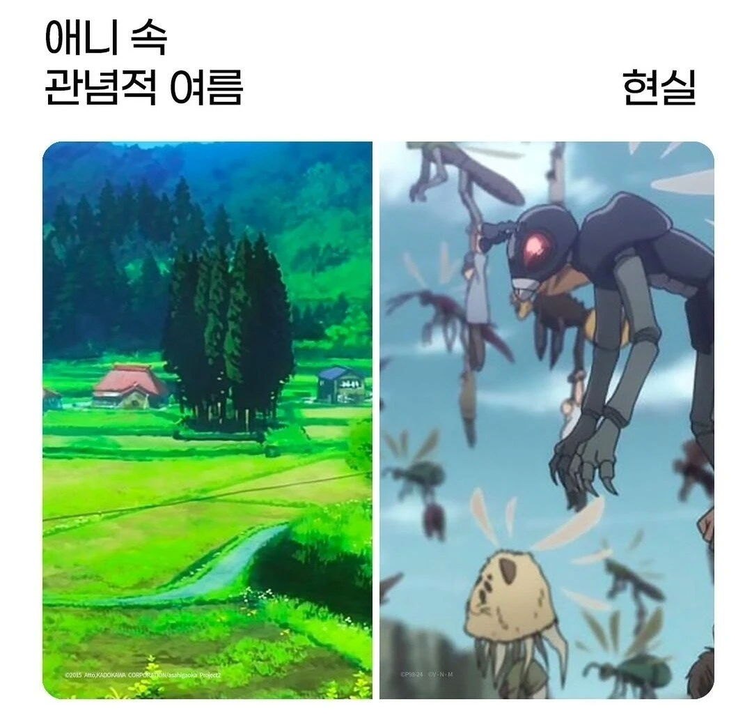 애니속 여름 vs 현실 여름.JPG