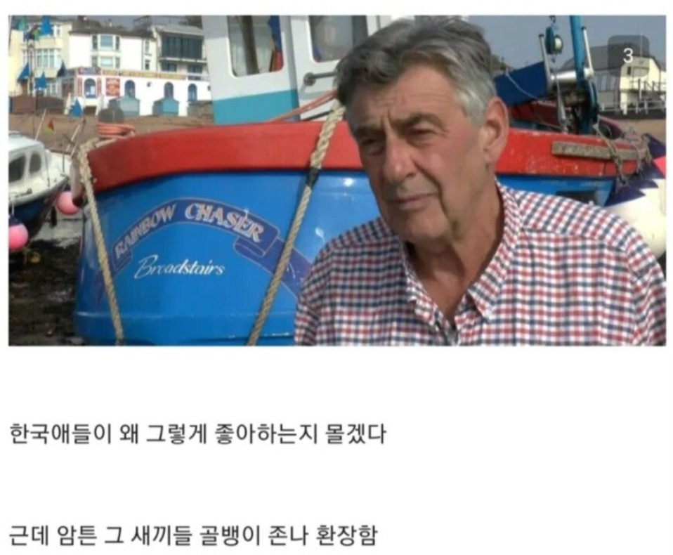 영국인들이 도무지 이해 못하겠다는 한국인 식성.jpg